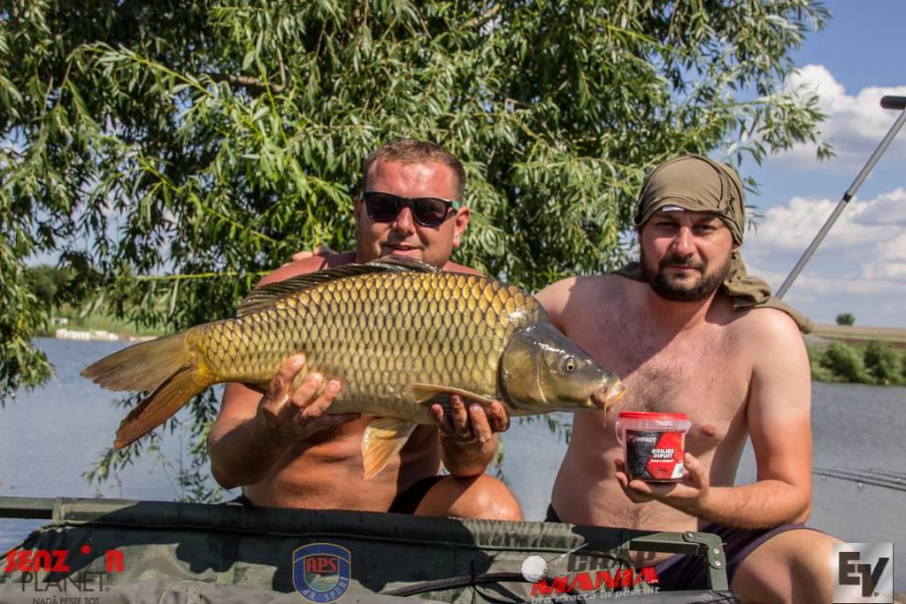 Chita 2 - ev-455zps1ham2osw.jpg